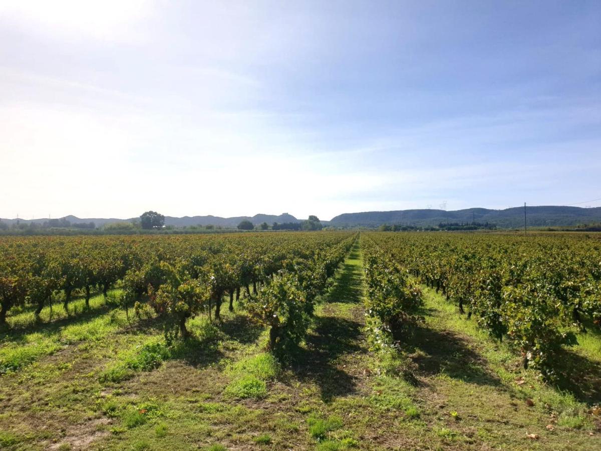 Domaine De Sevanes Saint-Paul-les-Fonts Exterior foto
